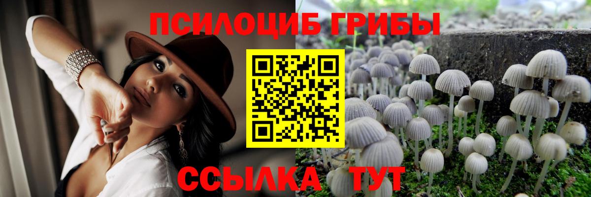 Верхняя Салда  Псилоцибиновые грибы Magic Shrooms  Галлюциногенные грибы Cubensis  хочу наркоту  Вход с VPN 